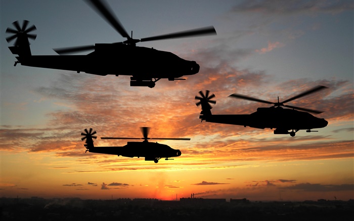 Helicopter flight, sunset Wallpapers Pictures Photos Images
