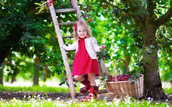 Little girl picking cherries, child, tree, garden Wallpapers Pictures Photos Images