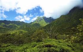 Mountains, valleys, Hawaii Islands HD wallpaper
