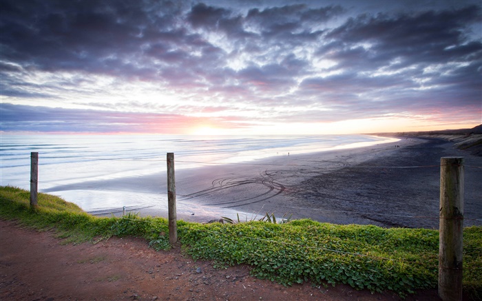 Muriwai Beach, sunset, Auckland Region, New Zealand Wallpapers Pictures Photos Images