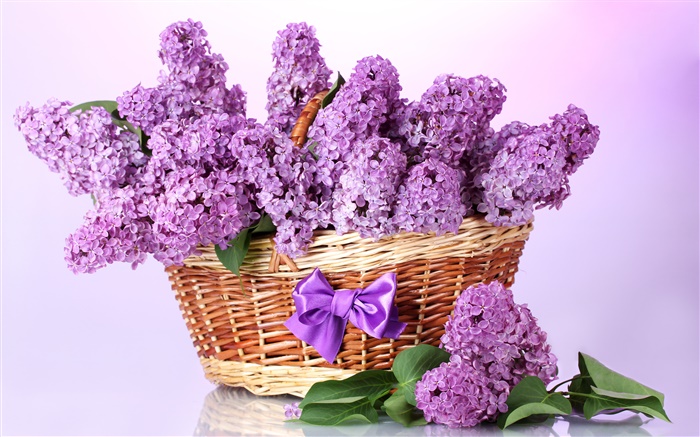 Purple lilac flowers, basket Wallpapers Pictures Photos Images