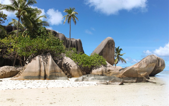 Seychelles Island, beach, stones, palm trees Wallpapers Pictures Photos Images