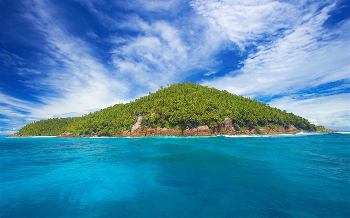 Seychelles Island, little island, trees, sea Wallpapers Pictures Photos Images