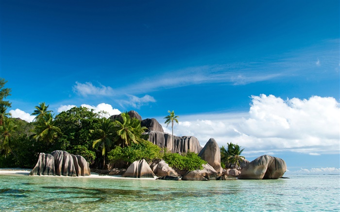 Seychelles Island, sea, coast, stones, palm trees, clouds Wallpapers Pictures Photos Images