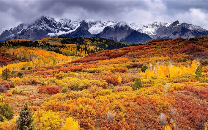 Slope, mountains, trees, autumn, clouds Wallpapers Pictures Photos Images