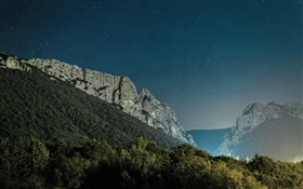 Stone mountains, trees, night HD wallpaper