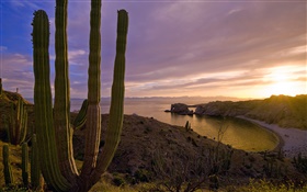 Sunset, hills, sea, Santa Catalina Island, California, USA HD wallpaper