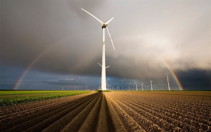 Windmills, rainbow, field Wallpapers Pictures Photos Images
