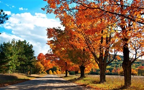 Autumn, road, trees HD wallpaper