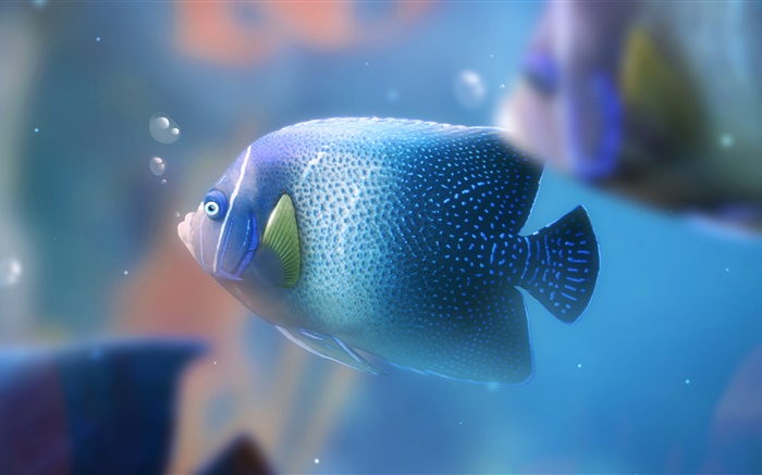 Blue aquarium fish close-up Wallpapers Pictures Photos Images