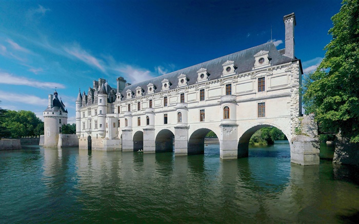 Chenonceau Castle, France, river, summer Wallpapers Pictures Photos Images