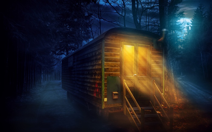 Forest, night, full moon, wooden house, lights Wallpapers Pictures Photos Images