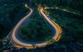 Night, road, trees, lights HD wallpaper