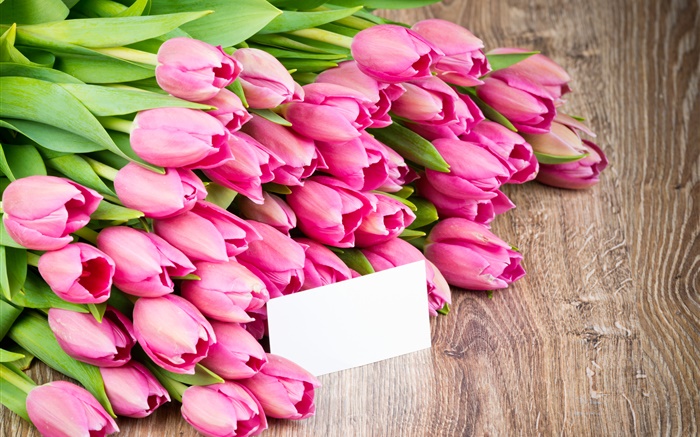 Pink tulips, bouquet flowers Wallpapers Pictures Photos Images