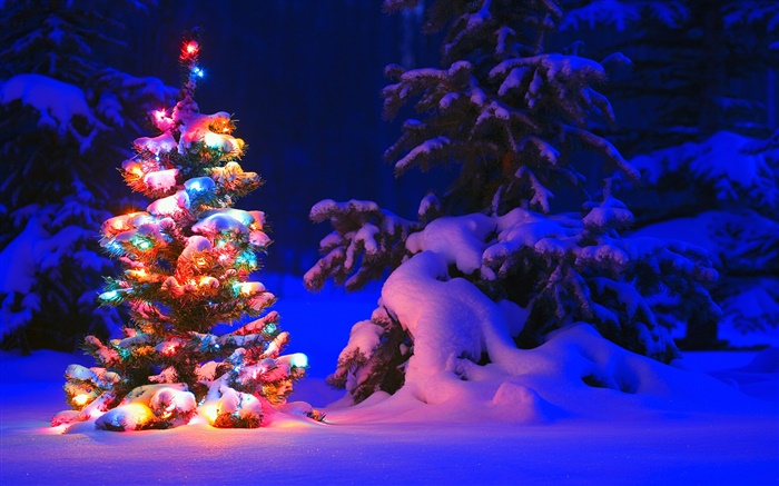 Snow, lights, tree, winter, night, Christmas Wallpapers Pictures Photos Images