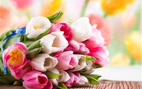 Spring, tulips, flowers, white, pink