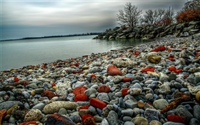 Stones, lake, trees, dusk HD wallpaper