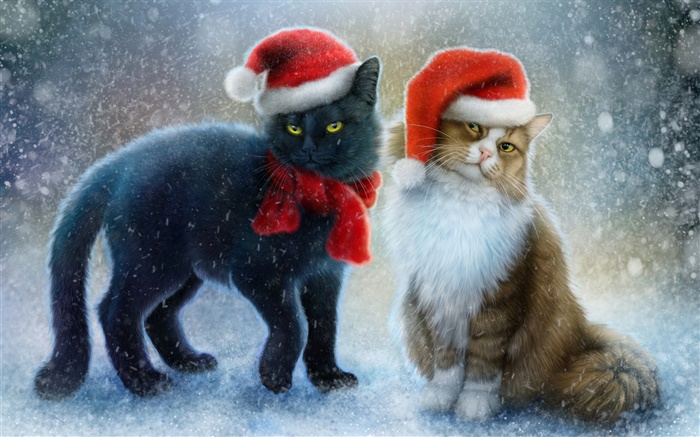 Two cats, snow, scarf, Christmas hat Wallpapers Pictures Photos Images