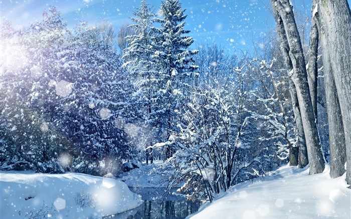 Winter, forest, trees, river, thick snow Wallpapers Pictures Photos Images