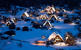 Winter, house, thick snow, night, town