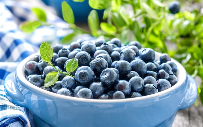 A bowl of blueberries Wallpapers Pictures Photos Images