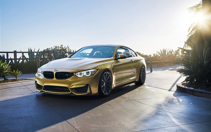 BMW M4 F82 green color car, sun, road Wallpapers Pictures Photos Images