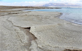 Dead sea, coast, salt