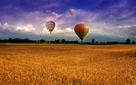 Farm, field, hot air balloons, sky, clouds, houses, village