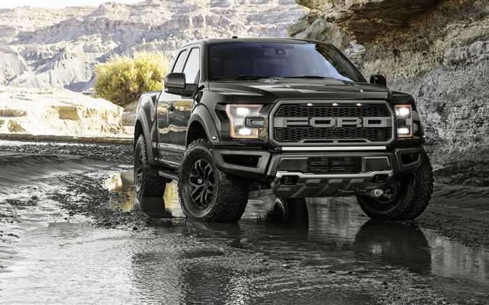 Ford F-150 Raptor pickup front view Wallpapers Pictures Photos Images