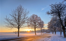 Germany, winter, snow, trees, road, house, sunset