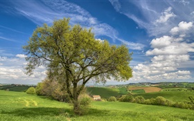 Italy, nature scenery, hills, fields, house, tree, spring HD wallpaper