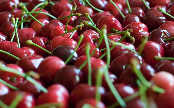 Many red cherries Wallpapers Pictures Photos Images