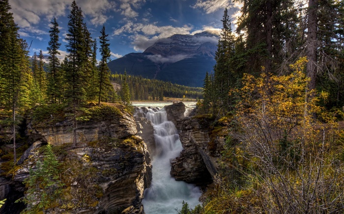 Mountains, forest, trees, waterfall, nature scenery Wallpapers Pictures Photos Images