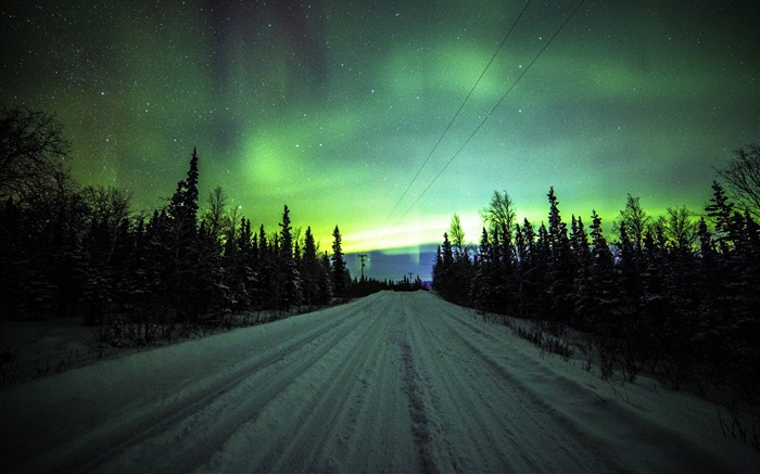Northern lights, road, pine trees, stars Wallpapers Pictures Photos Images