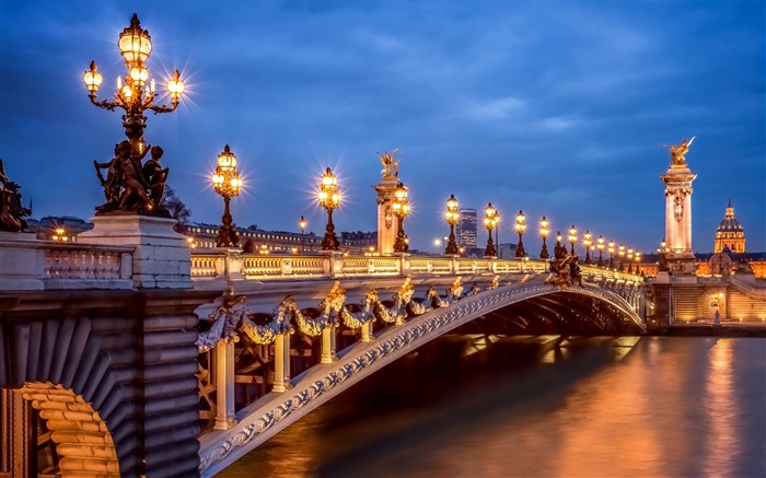 Paris, France, evening, lights, bridge Wallpapers Pictures Photos Images