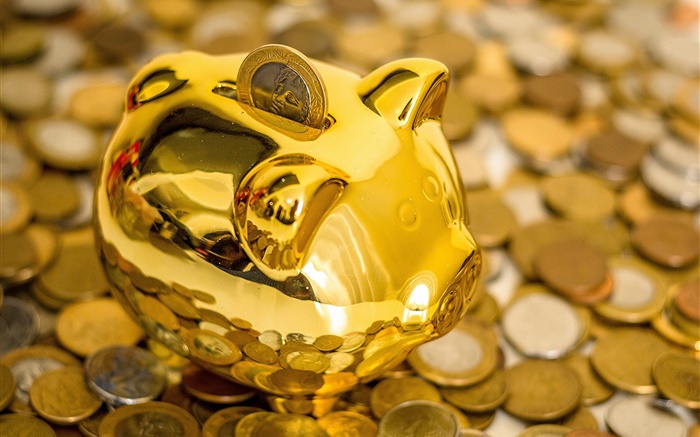 Piggy bank, pig, coins Wallpapers Pictures Photos Images