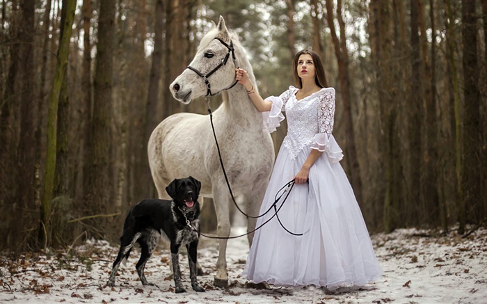 Retro style, white dress girl, horse, dog, forest Wallpapers Pictures Photos Images