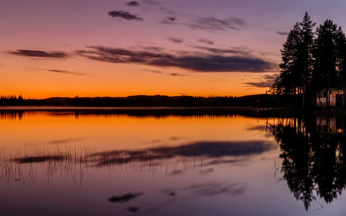 Sky, lake, forest, trees, dusk, evening Wallpapers Pictures Photos Images