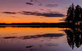 Sky, lake, forest, trees, dusk, evening HD wallpaper