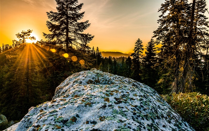 Sunset, mountains, sun rays, trees, stone Wallpapers Pictures Photos Images
