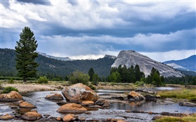 USA, California, Yosemite National Park, forest, mountains, clouds, rocks