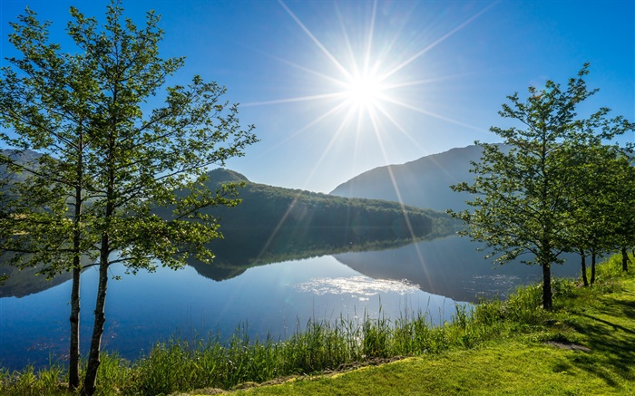 Vigesaa, Rogaland, Norway, lake, trees, sunlight Wallpapers Pictures Photos Images