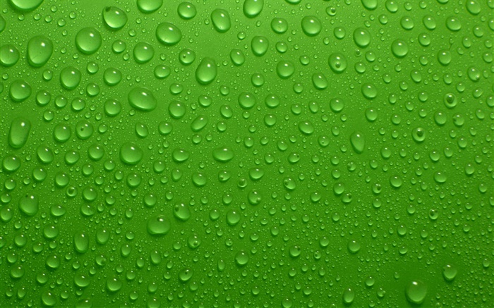 Water drops, green background Wallpapers Pictures Photos Images