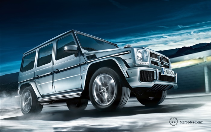 2012 Mercedes-Benz G-class w463 silver car Wallpapers Pictures Photos Images