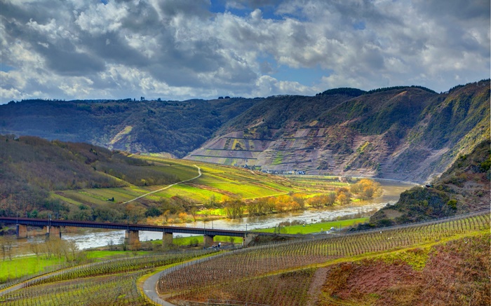 Ediger-Eller, germany, mountains, river, bridge, vineyard Wallpapers Pictures Photos Images
