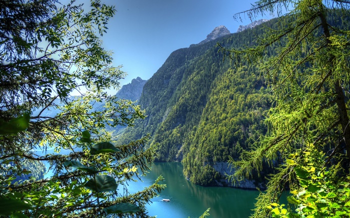 Germany, Bavaria, mountains, forest, trees, river Wallpapers Pictures Photos Images