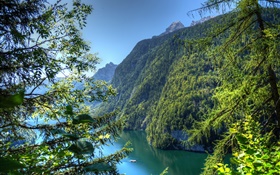 Germany, Bavaria, mountains, forest, trees, river