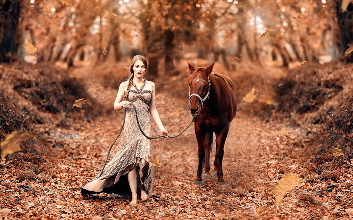 Girl and horse, autumn, yellow leaves Wallpapers Pictures Photos Images