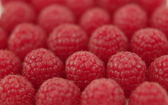 Many raspberry, red, bokeh Wallpapers Pictures Photos Images