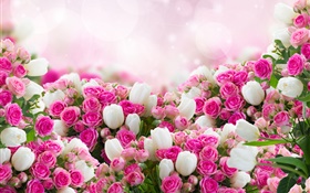 Many rose flowers, pink and white HD wallpaper
